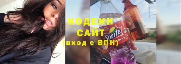 молекула духа Осташков