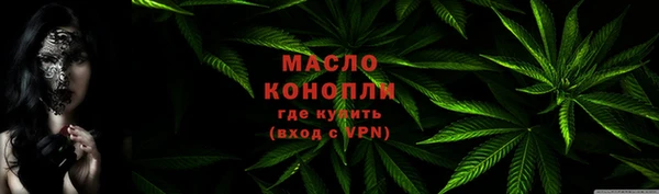 молекула духа Осташков