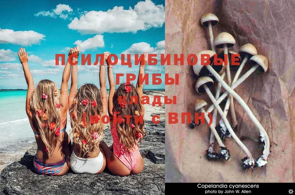 прущие крисы Балабаново