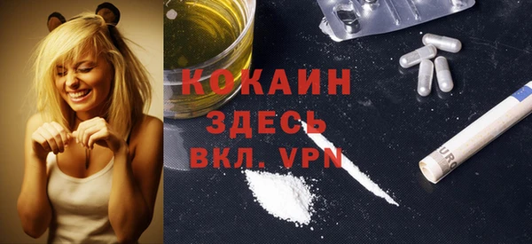 молекула духа Осташков