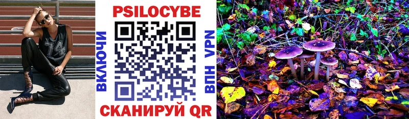 Псилоцибиновые грибы Magic Shrooms Лихославль